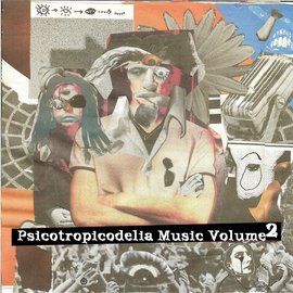 PTDM002 - Psicotropicodelia Music Vol. 2
