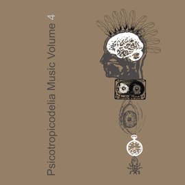 PTDM020 - Psicotropicodelia Music Vol. IV